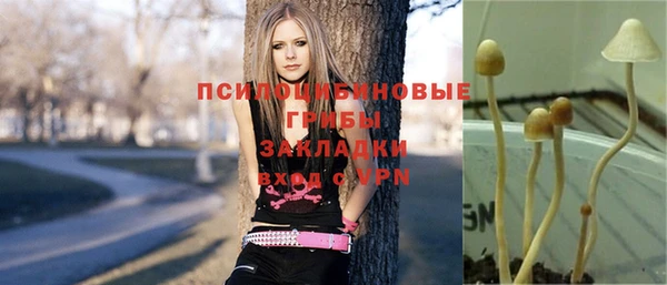 mix Нязепетровск