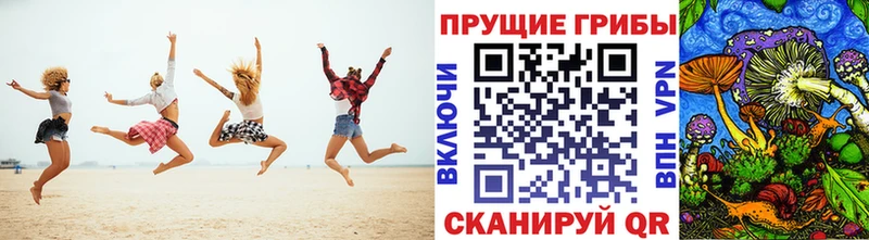 Псилоцибиновые грибы Magic Shrooms  blacksprut вход  Чапаевск 